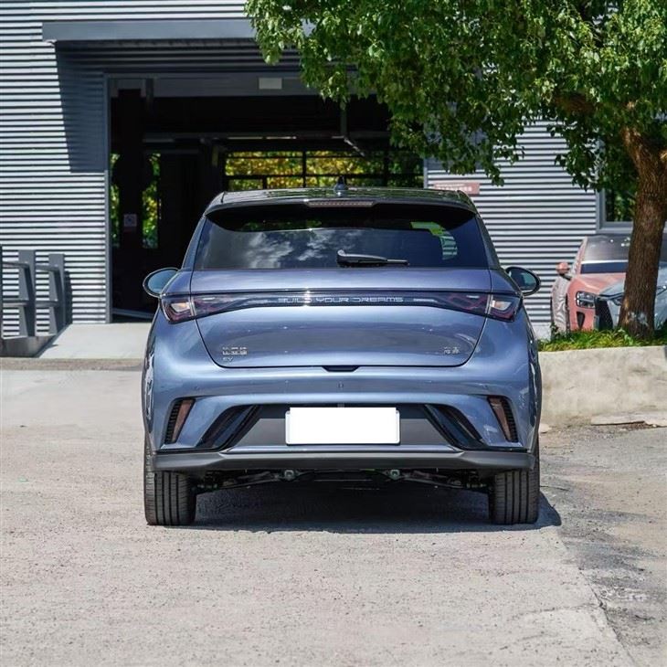 2026 SEAGULL EV high quality