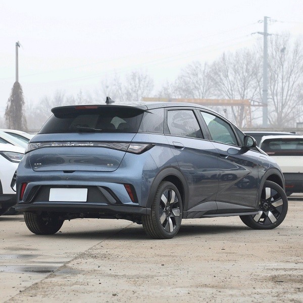 Affordable Mini Ev Dolphin