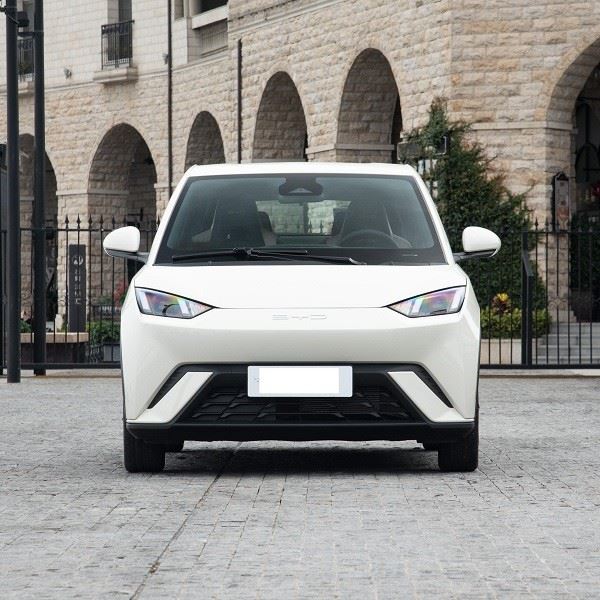 Byd Mini Electric Flying Edition