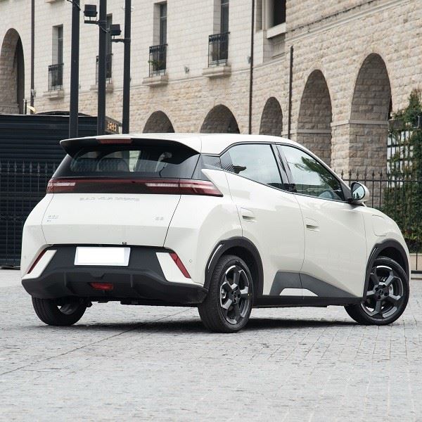 Byd Mini Electric Flying Edition