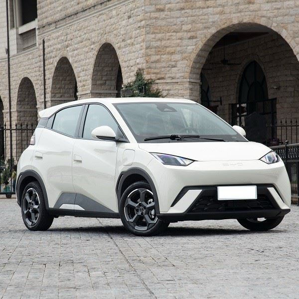 Byd Mini Electric Flying Edition