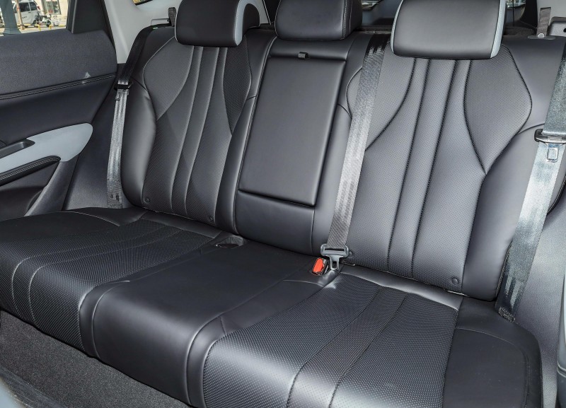 sea lion interior 3 sea lion interior 3