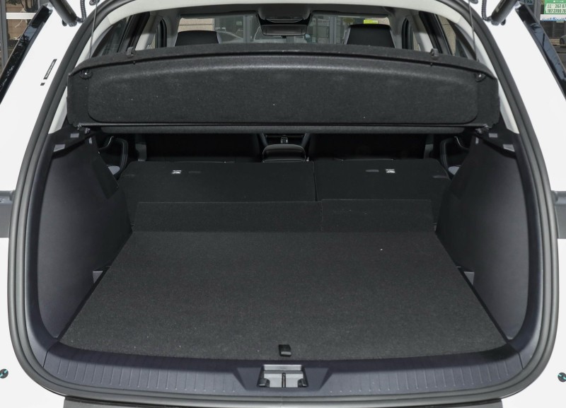 sea lion interior 4 sea lion interior 4