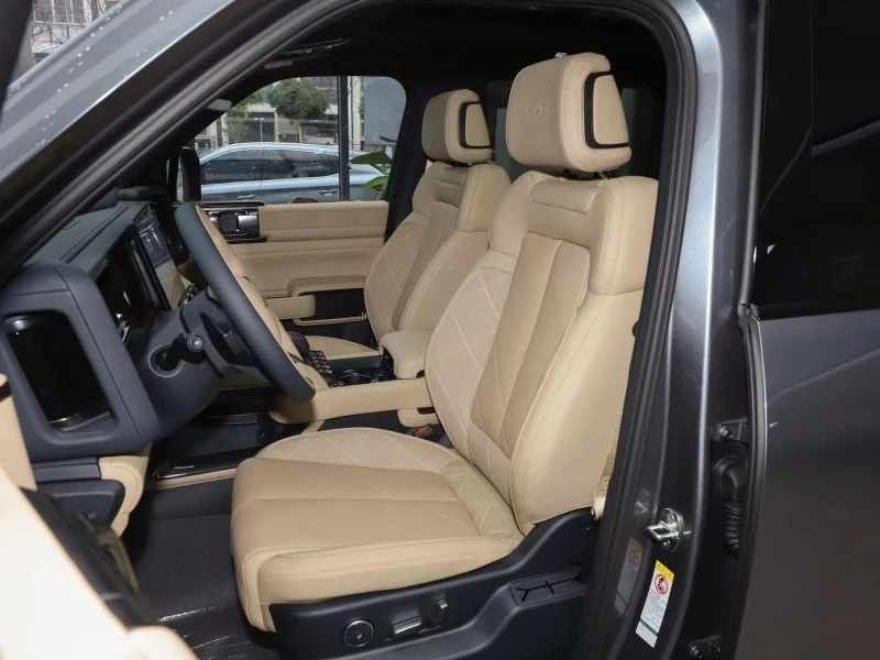 Leopard interior 2