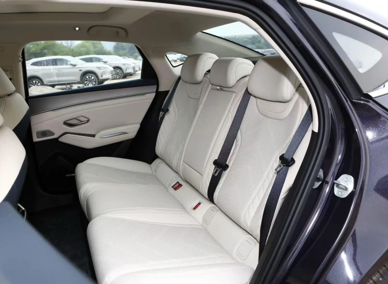 Song L dmi interior5