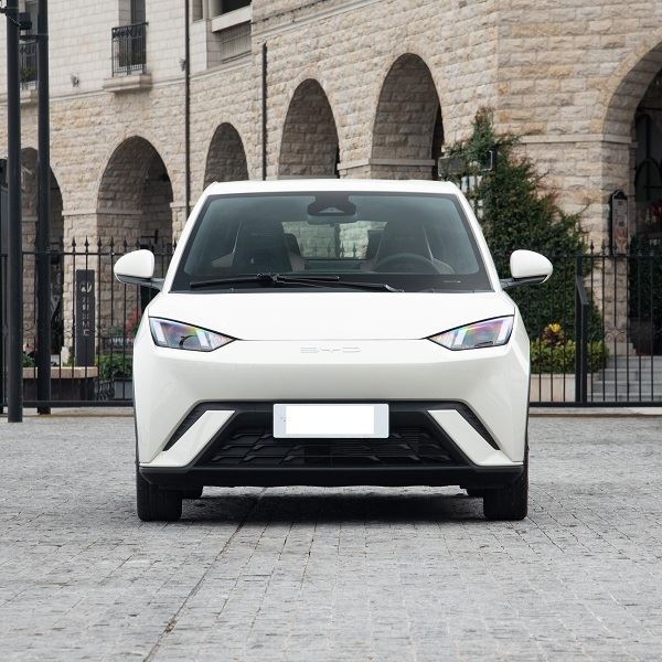 Small Velectric EV Price