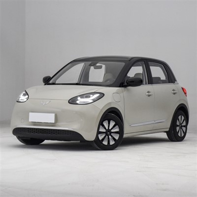 5 doors 4 seats Hatchback Wuling Bingo Affordable Price