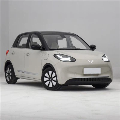 Small EV Car Price