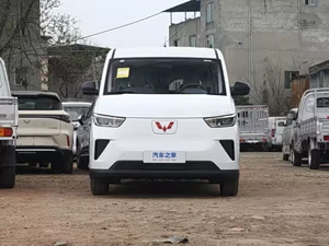 Wuling Yangguang 330km Range,wuling Yangguang 440km Range,wuling Yangguang 440km Comfort,wuling Yangguang 2026,wuling Yangguang 440km Van suppliers